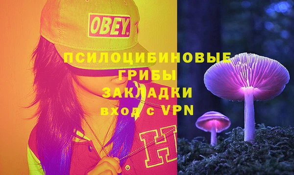 ГАЛЛЮЦИНОГЕННЫЕ ГРИБЫ Абинск