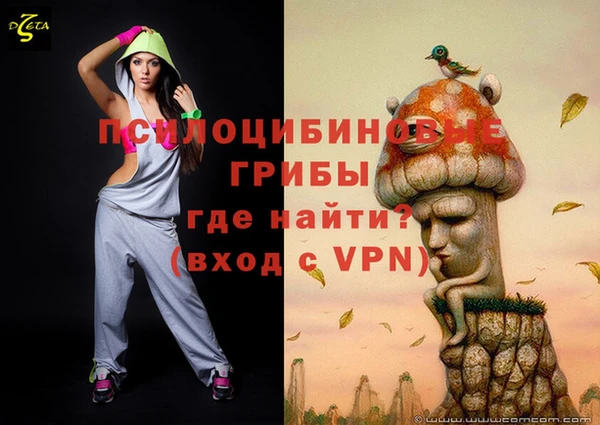 гидра Алексин