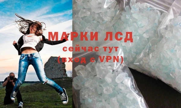 гидра Алексин