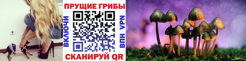 Псилоцибиновые грибы мухоморы Ангарск