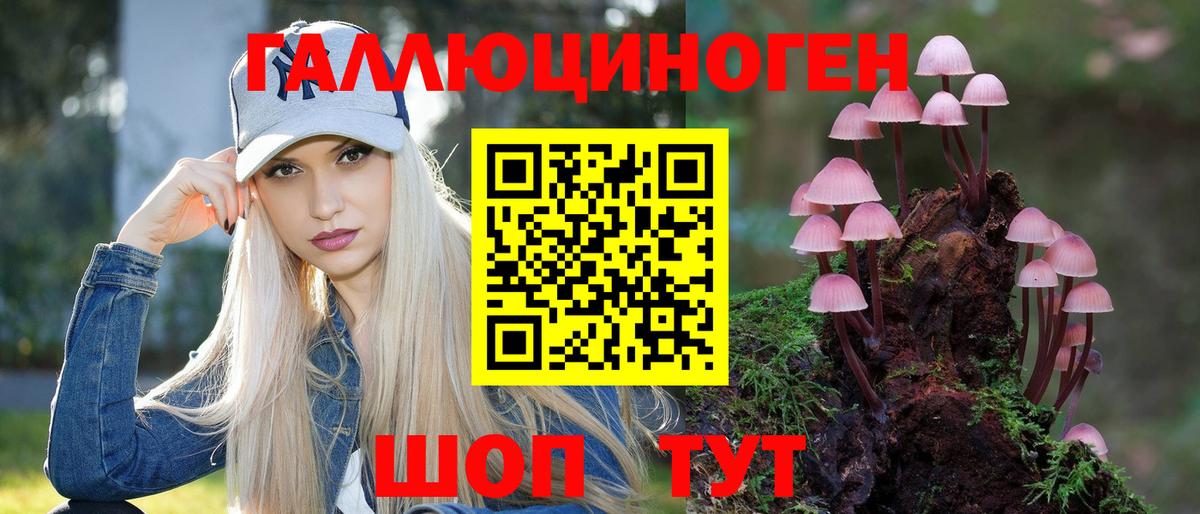 Псилоцибиновые грибы Psilocybine cubensis  Вход с VPN  Ангарск  Галлюциногенные грибы Cubensis 