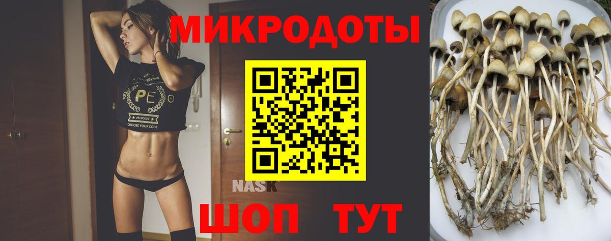Псилоцибиновые грибы Cubensis Ангарск